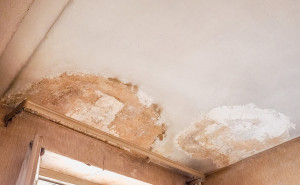 5 Things You Can Do To Mitigate Water Damage