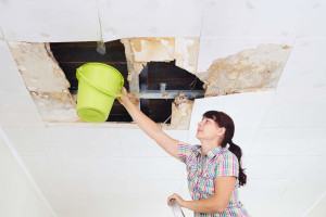 7 Signs That You Need To Call A Professional In A Water Leak Situation